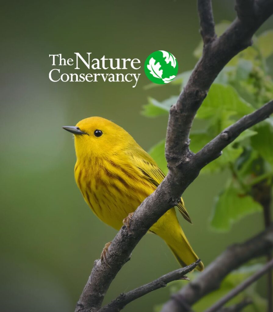 The Nature Conservancy logo next to a yellow bird on a branch